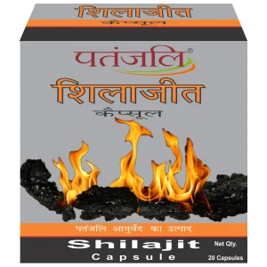 Patanjali Shilajit Capsule 60 Cap